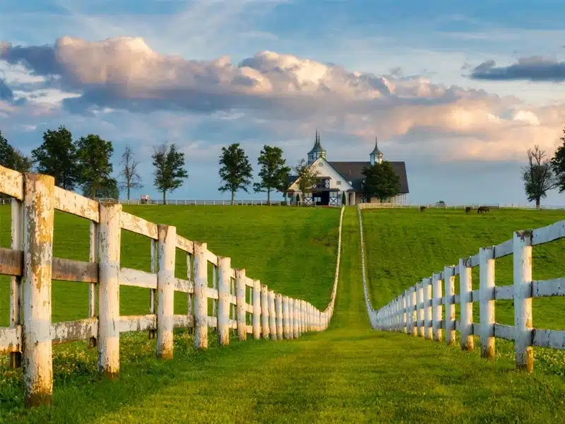 Kentucky farm