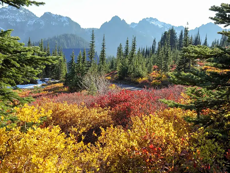 Scenic image of mountain area in Washington